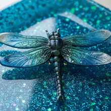 Load image into Gallery viewer, Extreme close-up of wing texture