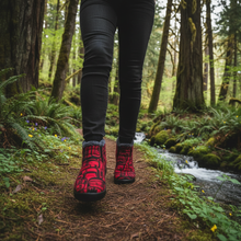 Load image into Gallery viewer, Forest Walk